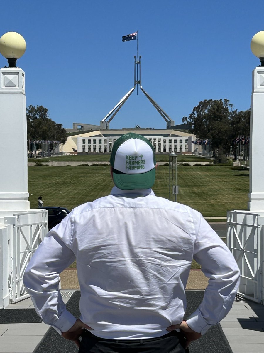 SteveMc19695's tweet image. #keepthesheep