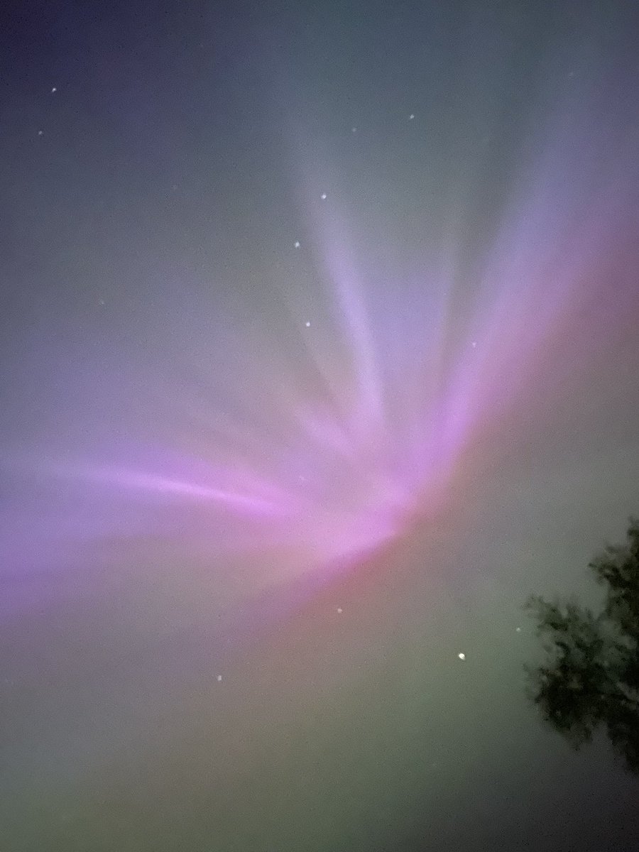 Sam__Phillips__'s tweet image. Coming to you live from… my back garden in rural Derbyshire