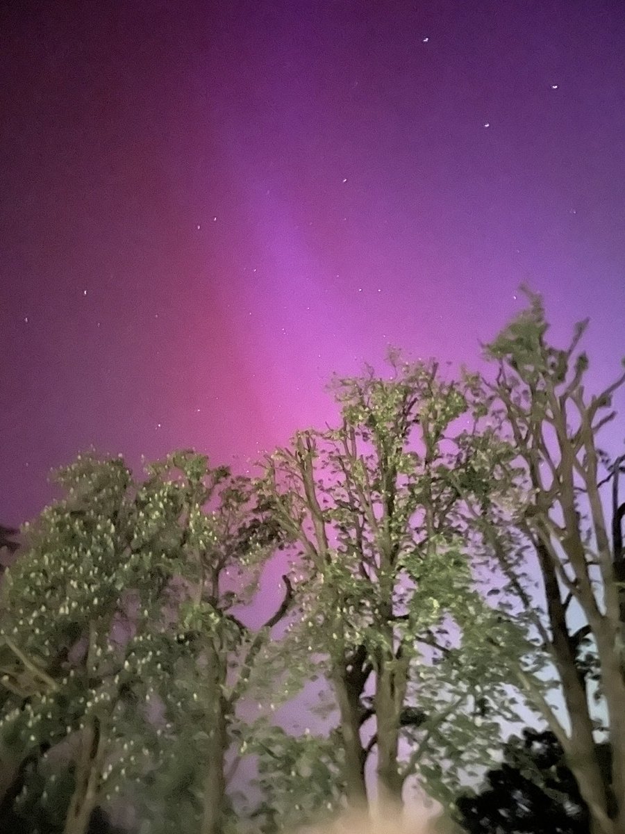 Lynn Love tweet media