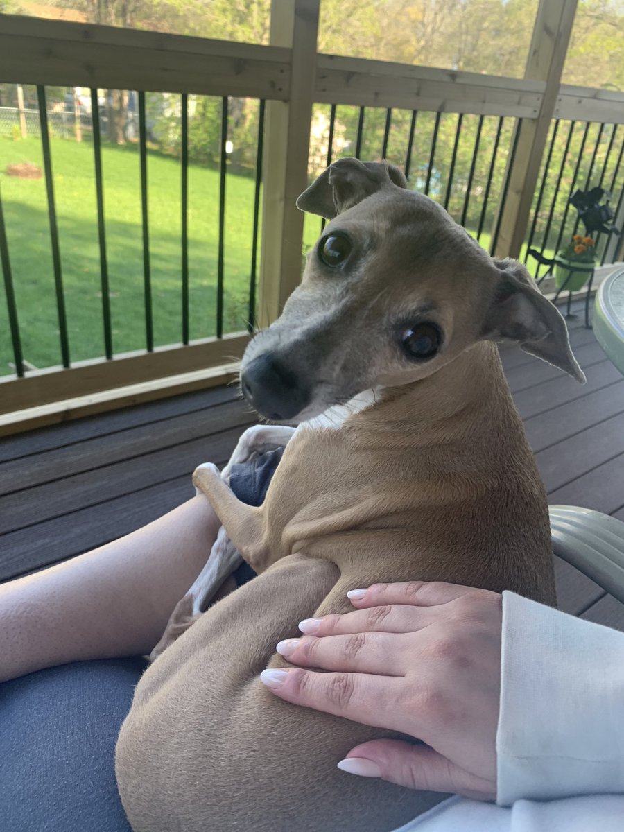 @ACVP Enjoying an evening together on our deck.