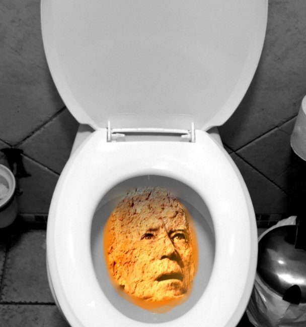 PUBLIC SERVICE ANNOUNCEMENT: If you ever see an #OrangeTurd like this after using the toilet, there is no need to be alarmed, rather, it's an indication that your bowels are performing normally and ridding your body of toxic waste. #BidenWorstPresidentEver