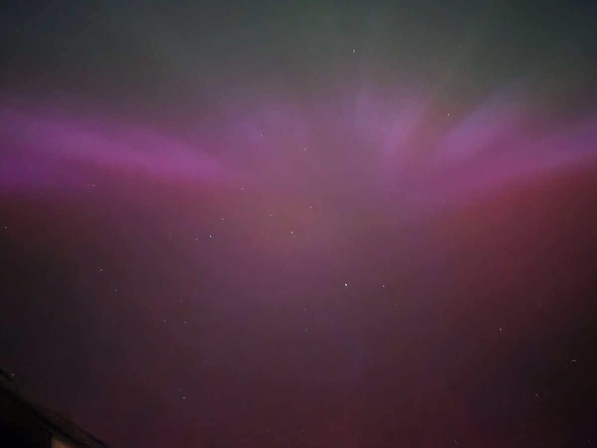 Ruddy Muddy tweet media