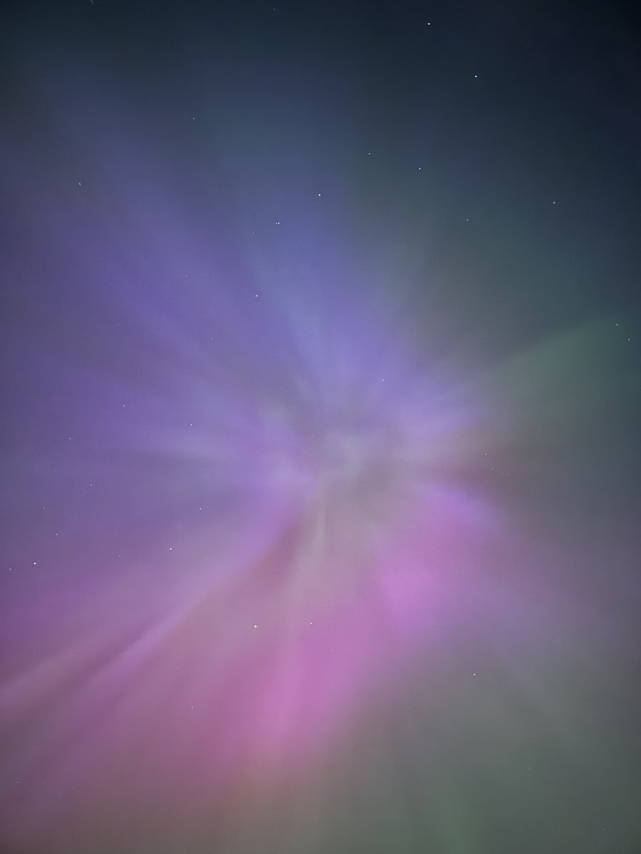 Steve Lynn tweet media