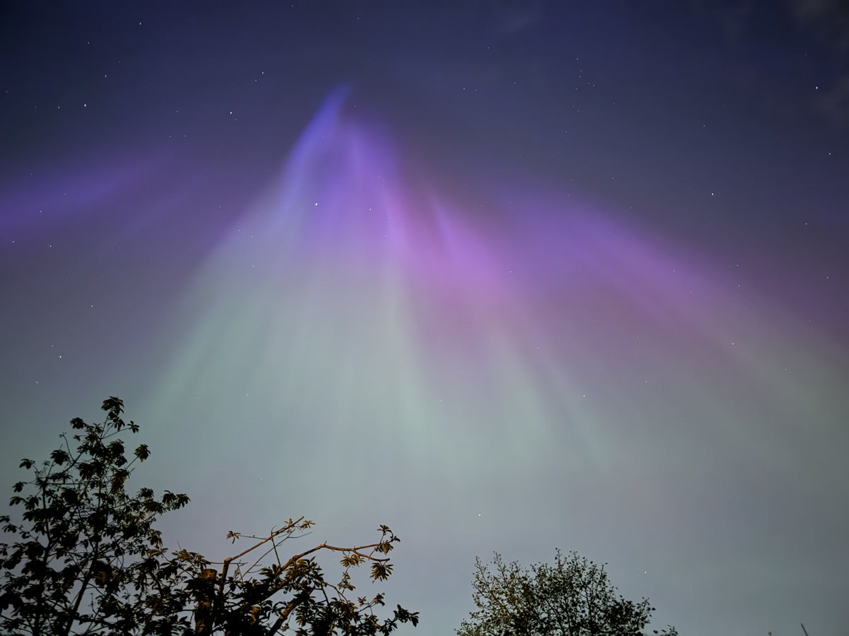 Steve Lynn tweet media