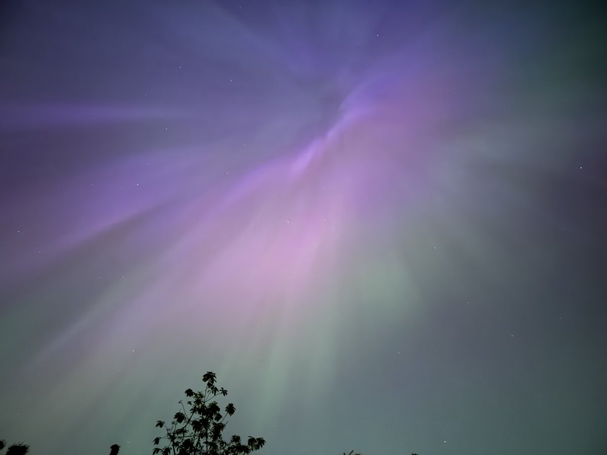 Steve Lynn tweet media