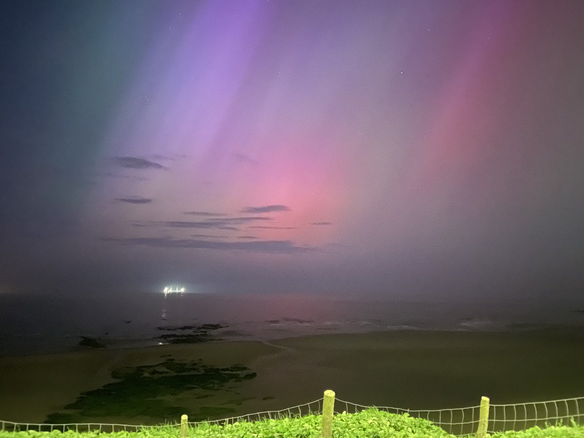 Michael Mulvihill tweet media