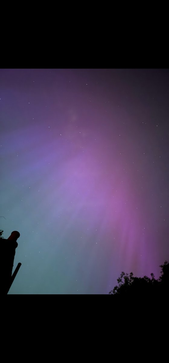 Nafisa Bakkar tweet media