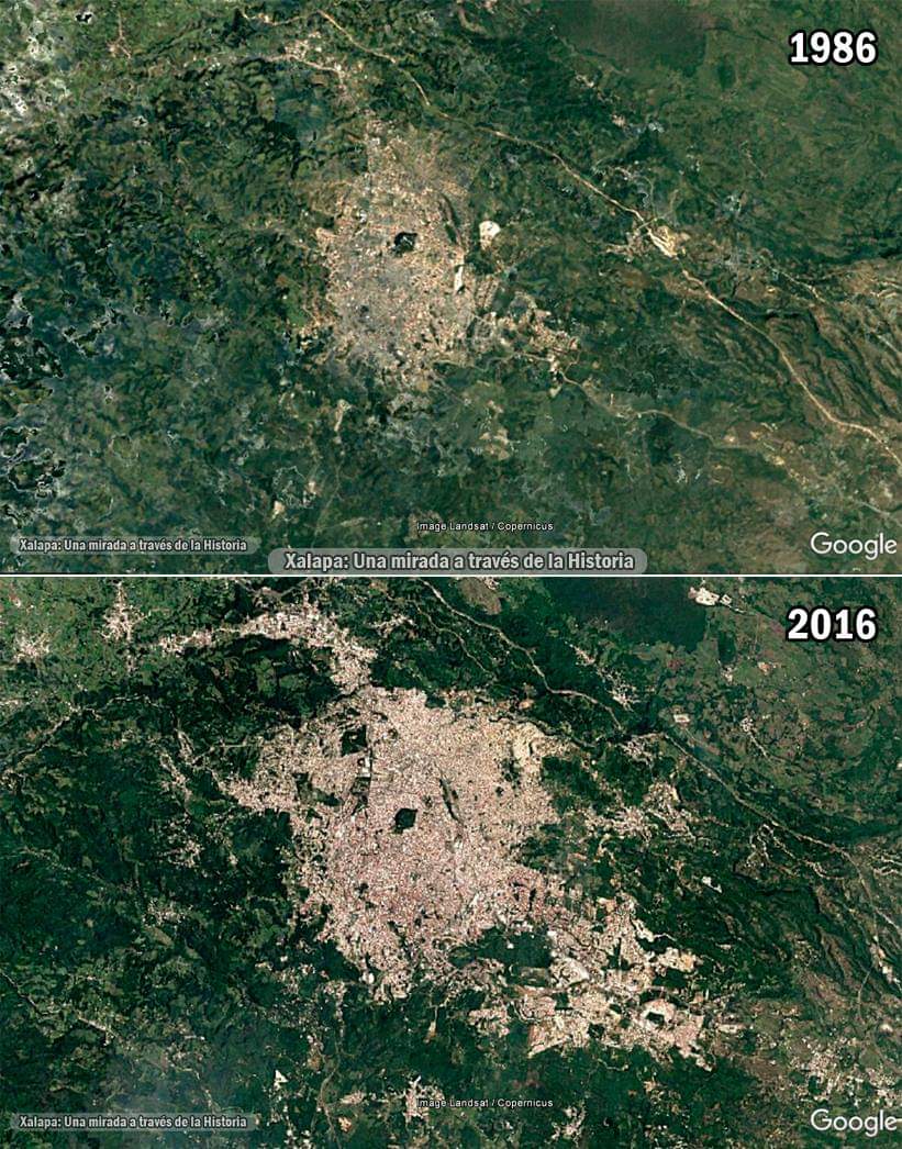 La razón de por qué Xalapa está sufriendo de calor es por el crecimiento desmedido de la ciudad, tan solo miren la imagen comparativa. Cortesía de @Xalapa_Historia