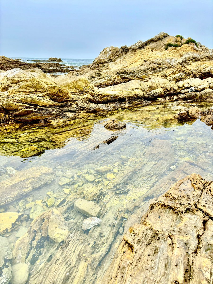 Tide pools #tidepools #ocean #coast #NatureBeauty #NaturePhotography #weekend #California nia