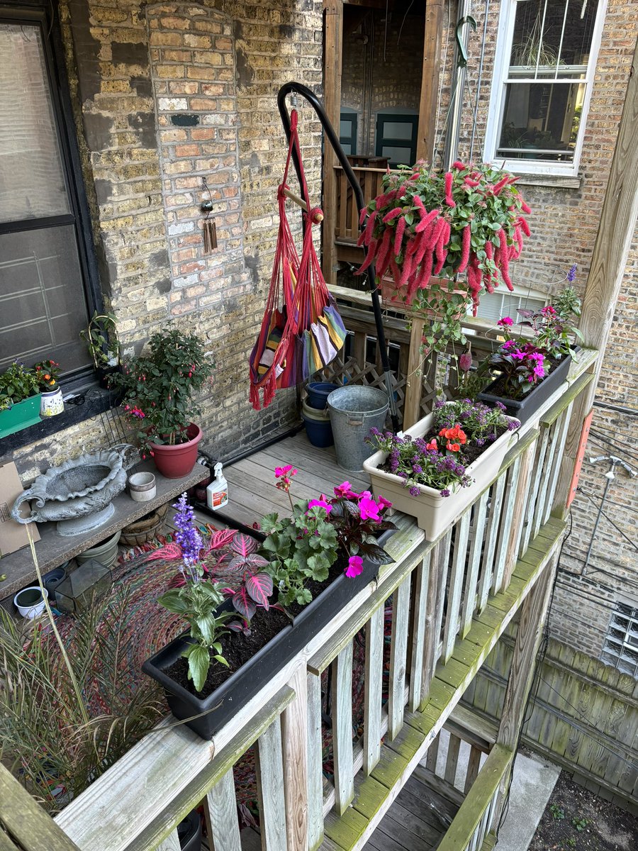 Before // After ! Still need to get some ferns, veggies, herbs, and more flowers, but the porch is back up!