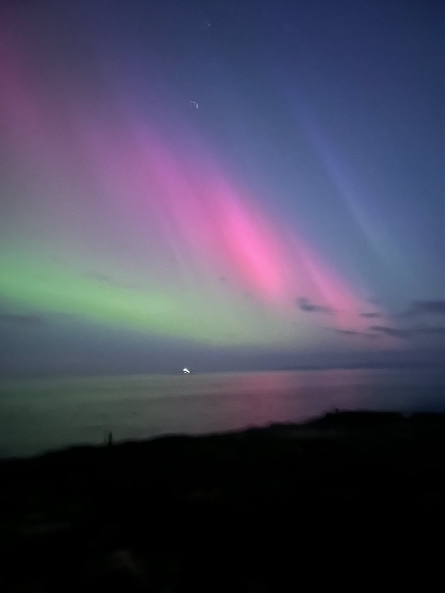 elizabeth lang tweet media