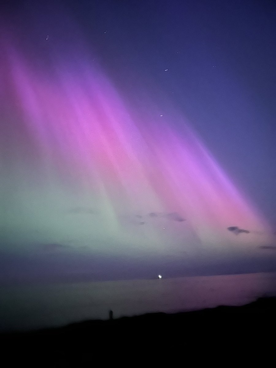 elizabeth lang tweet media