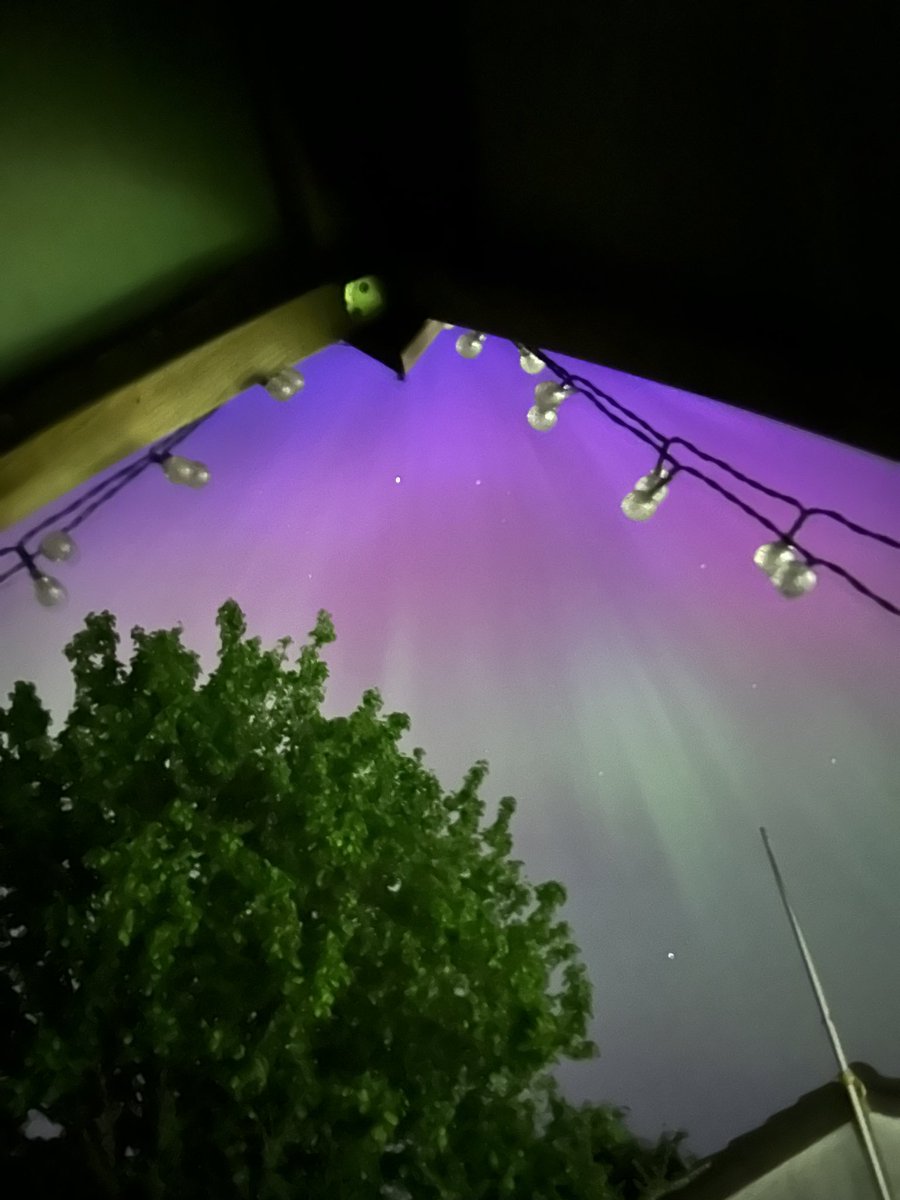 elizabeth lang tweet media