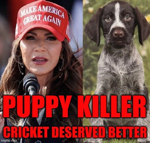 Rejoice with me. A 6th South Dakota tribe, the Yankton Sioux, have officially banned Trump loving MAGA Governor Kristi Noem from their reservation. At this rate, she won’t be able to set foot outside that gravel pit where she shot her poor little puppy Cricket to death. 💔