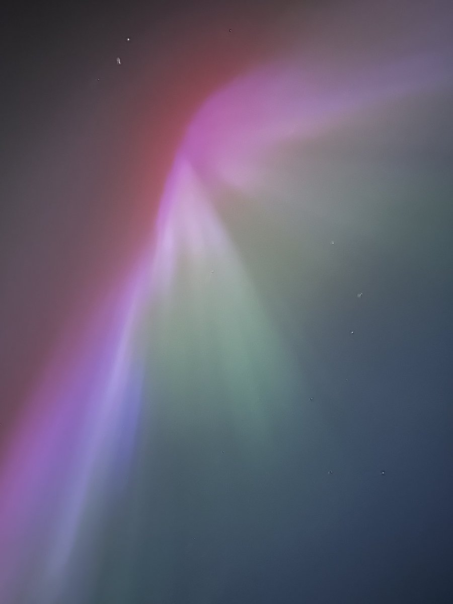 Alison Clarke tweet media