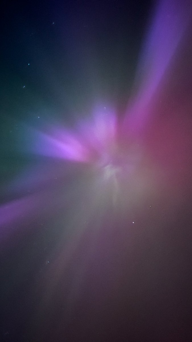 Gone Leavin’ tweet media