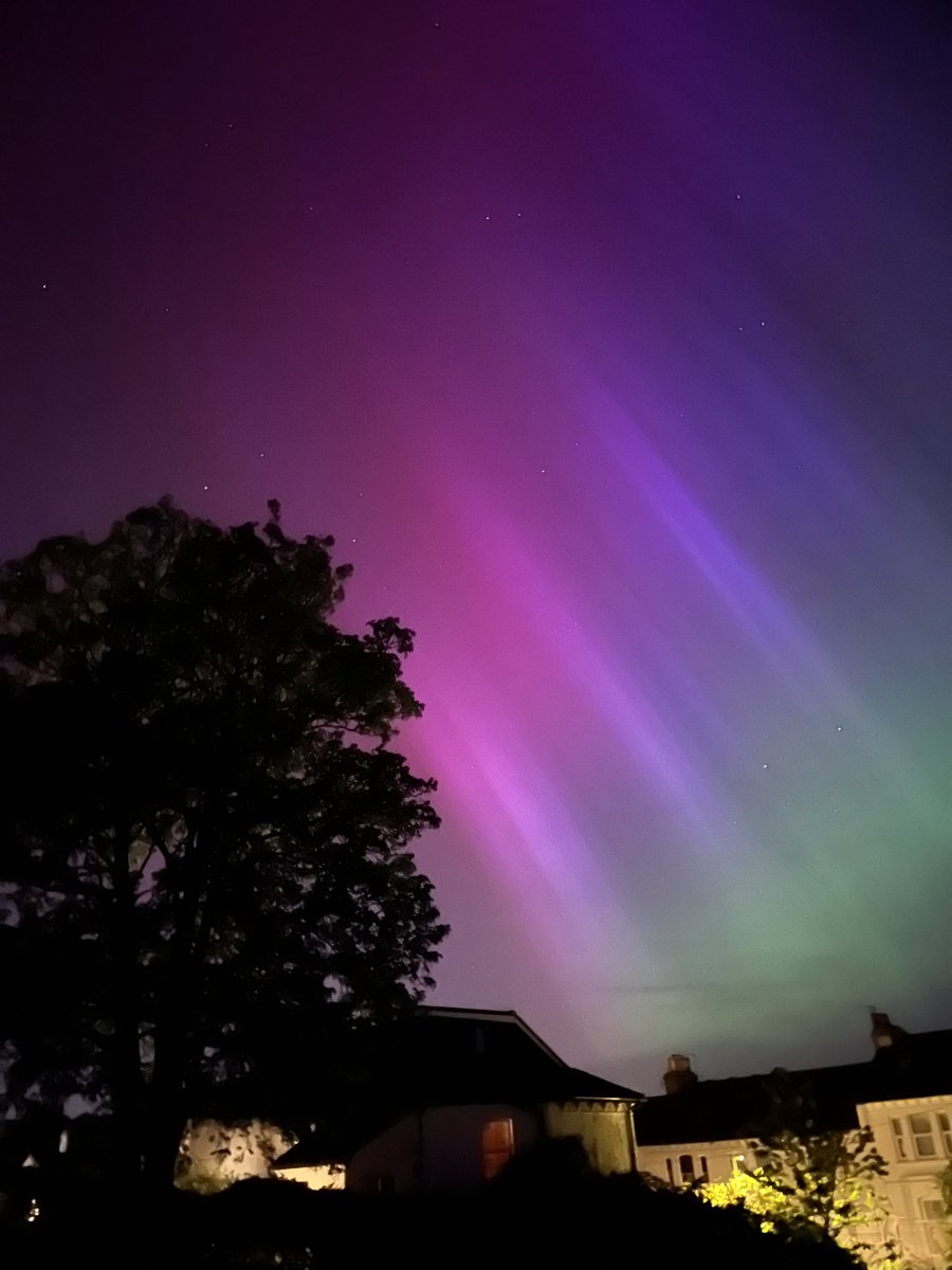 Diana Boyd tweet media