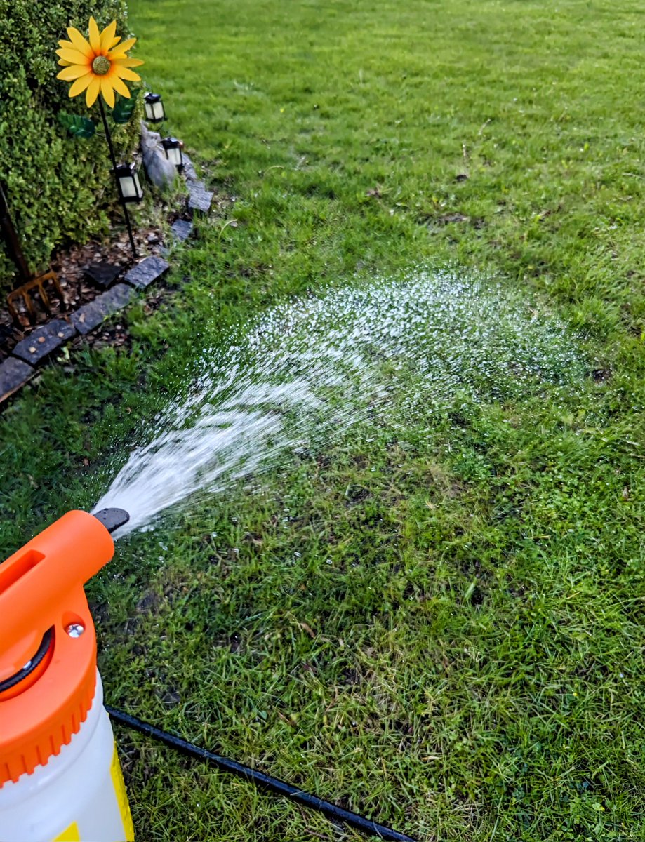 Applying some worms (nematodes) to my lawn, hoping none get into my brain! 🧠 🪱  😁