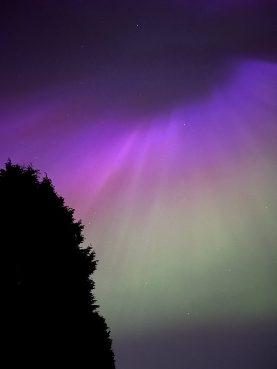 shannnnon. tweet media