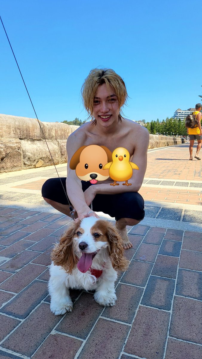 watsonyb66's tweet image. 용복이랑 강아지 같이 찍은 사진만 보면 몽글몽글해져