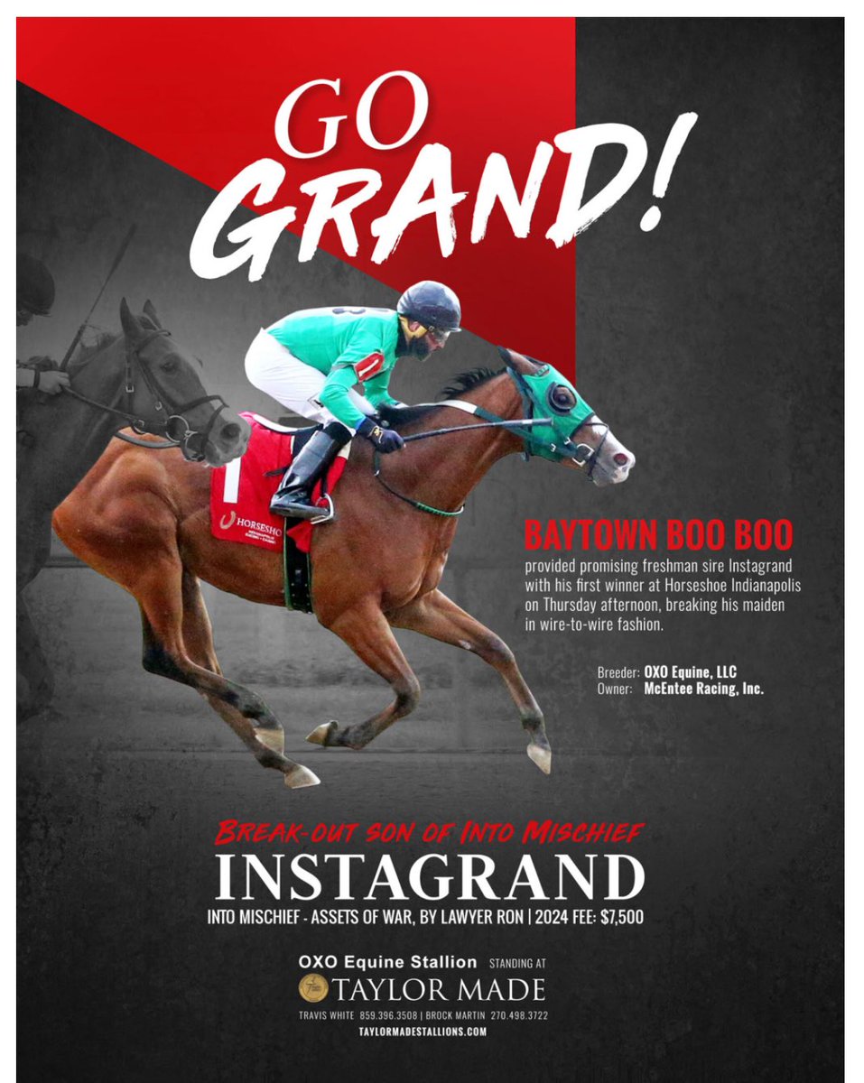 Sorry not Sorry , more accolades for Boo Boo <a href="/GraceMcentee/">grace mcentee</a> <a href="/philmcentee1/">phil mcentee</a>  <a href="/markmcentee2/">Mark McEntee</a>