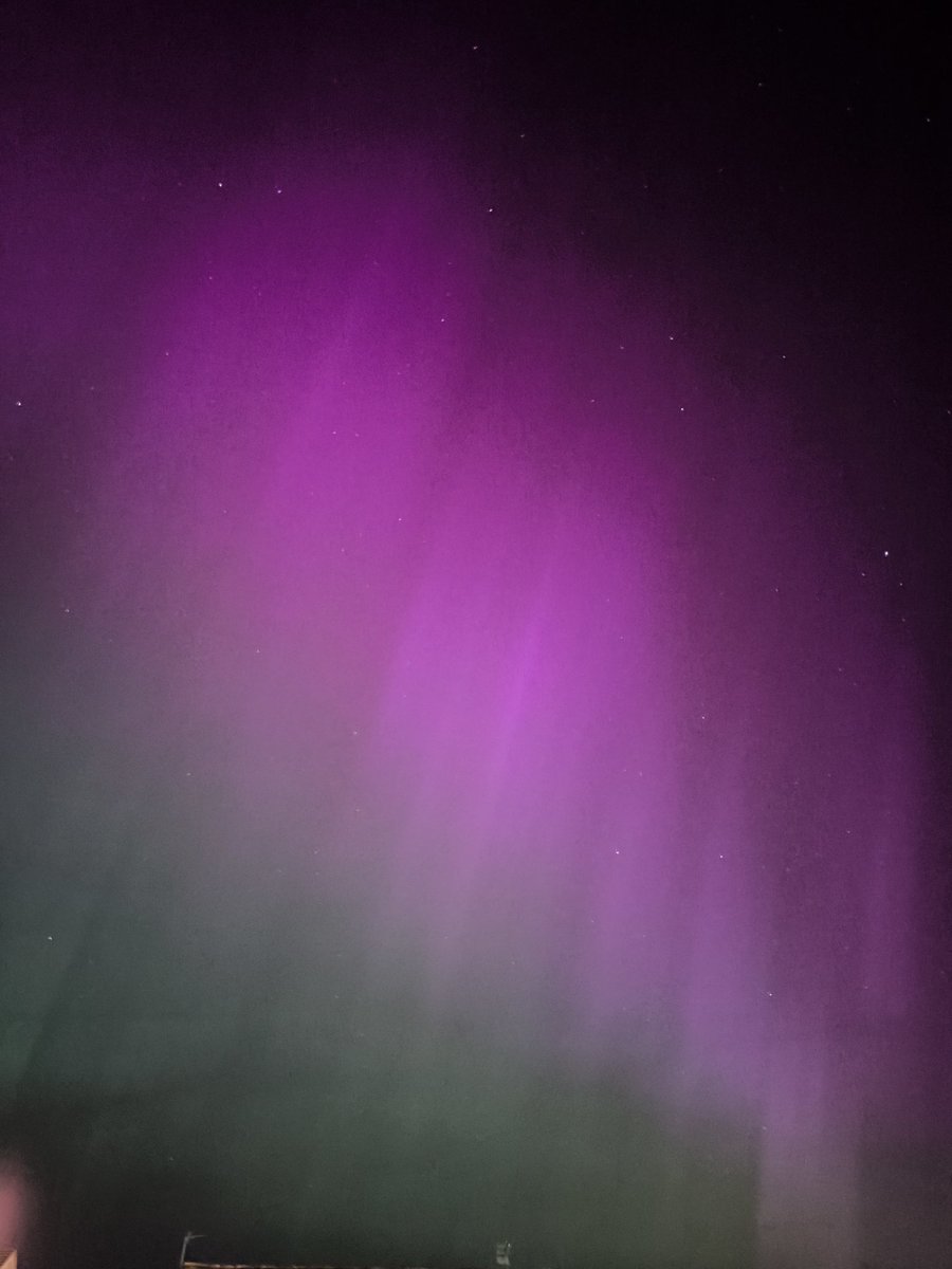 eelesey 👻 tweet media