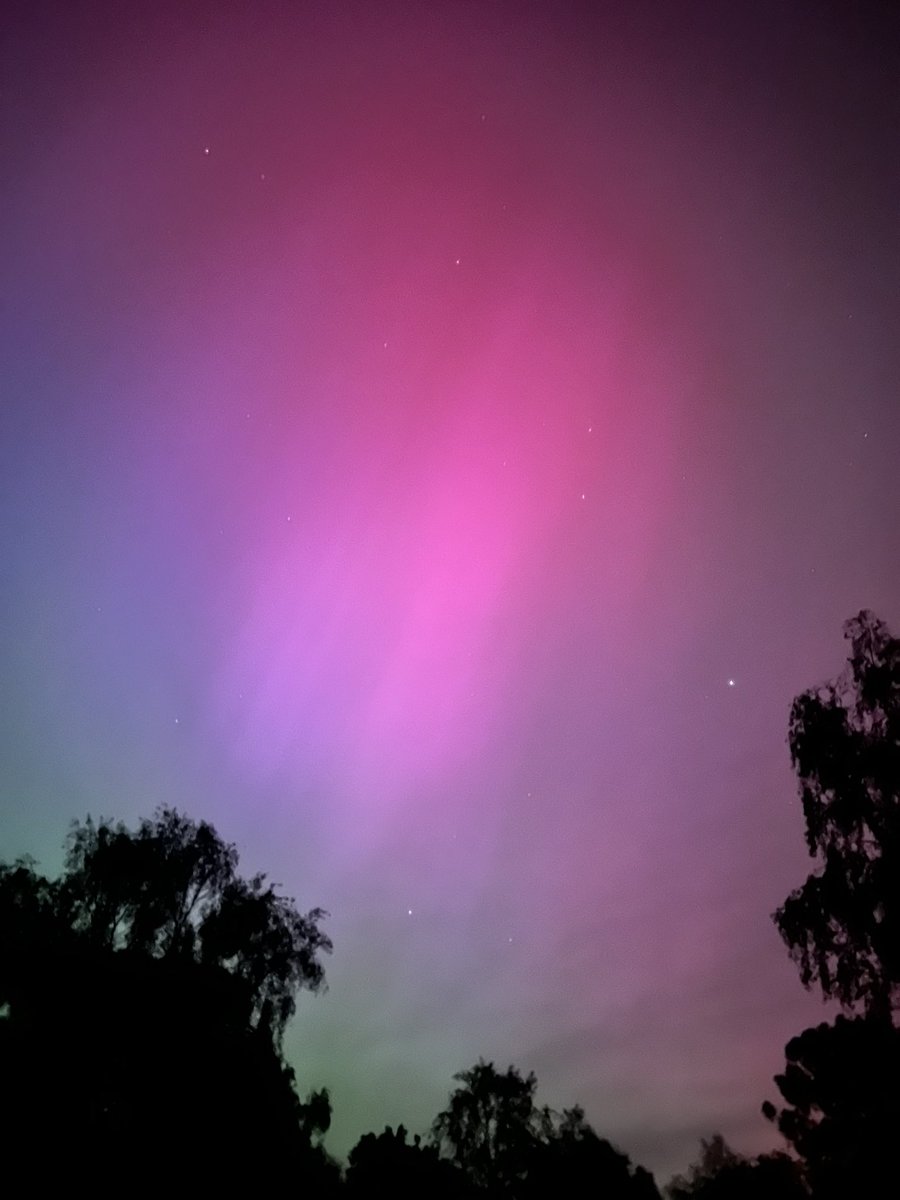 Aurora borealis (Northern Lights) dancing around the sky at Woodbury Common, #Devon. What a spectacle she was! Painting the sky every colour of the rainbow, only to increase in intensity throught the night! Go and catch her if you can! #NorthernLights #auroraborealis #exmouth