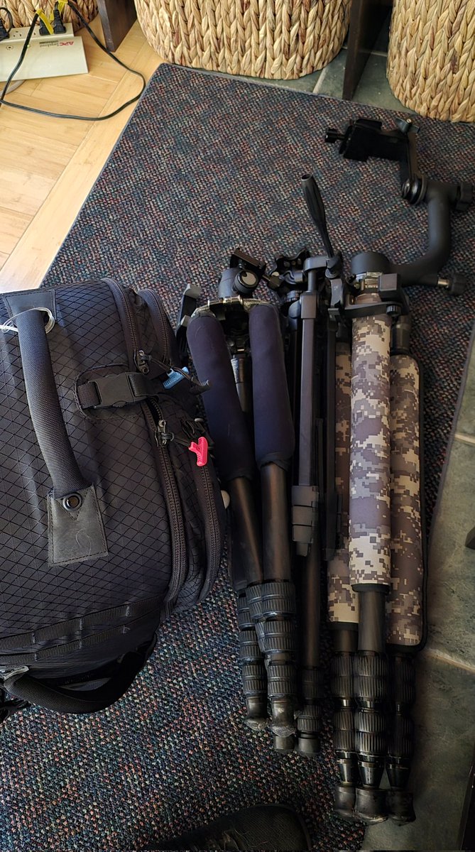 Shannon Bileski☈ tweet media