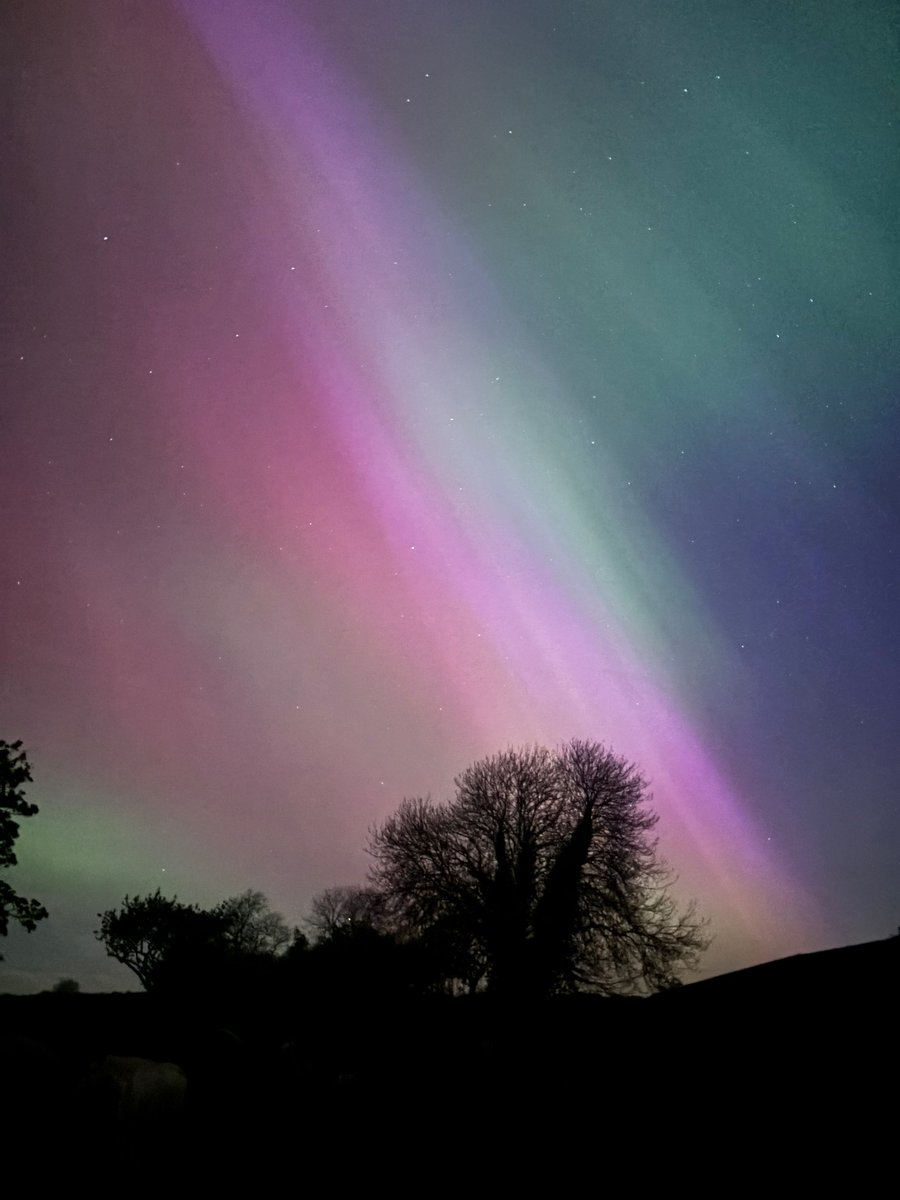 Made2Measure tweet media