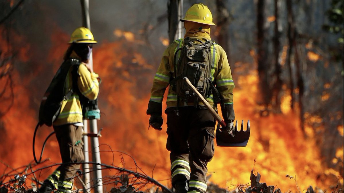 Over the last two decades, fires have caused more than a quarter of all tree cover loss. Costa Rica's Volunteer Forest Fire Brigade shines as a beacon of resilience. Proudly supported by @UNDP, they are safeguarding one of Earth’s vital carbon sinks. go.undp.org/Zf5