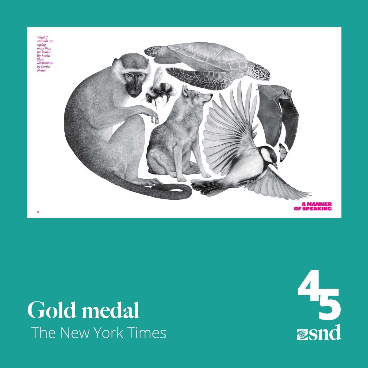 🥇 A #SND45 Print gold medal in Single Illustration (Features) goes to <a href="/nytimes/">The New York Times</a> for "A Manner of Speaking".

• <a href="/gailbichler/">Gail Bichler</a>, Creative Director;
• Ben Grandgenett, Design Director
• Annie Jen and <a href="/_rachelwilley/">Rachel Willey</a>, Deputy Art Director
• Denise Nestor, Illustrator