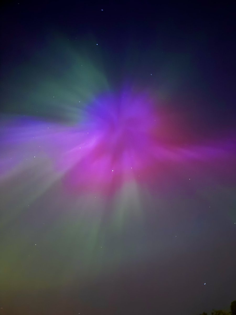 lisa durkin tweet media