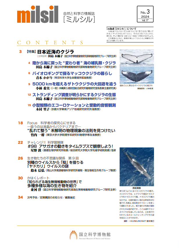 ╭━━━━━━━╮ 📘#milsil 最新号📘 amazonで販売開始 ╰━━ｖ━━━━╯ #かはく が発行する自然と科学の情報誌milsil(ミルシル)最新号99号がamazonでも販売を開始しました💨 今号の特集は…「日本近海の #クジラ」です🐋🫧 ぜひご覧ください♪ 🔽amazonはこちら amzn.asia/d/exwfLRv