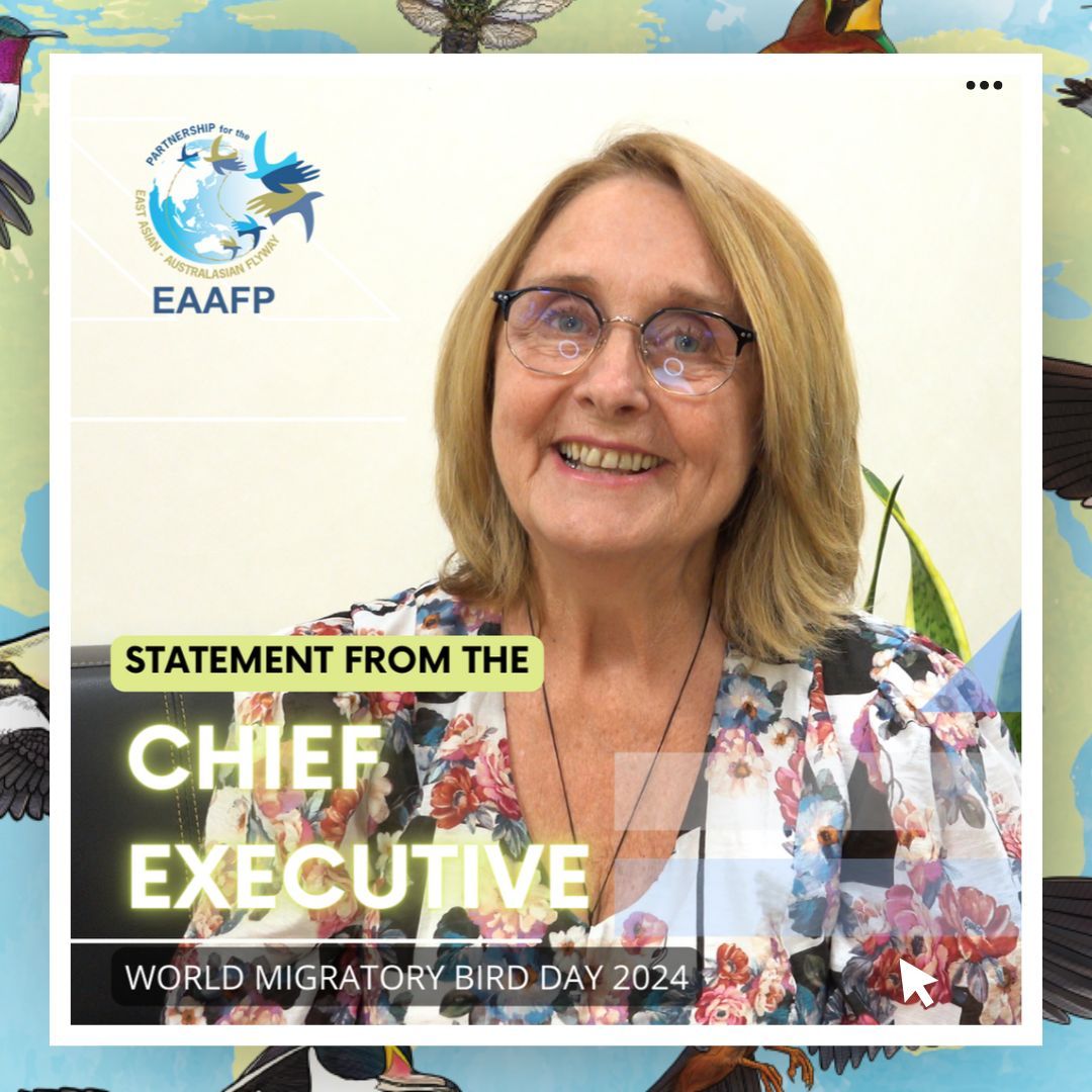 🐦 Happy World Migratory Bird Day! Every May and October, we unite with thousands worldwide to honour the incredible journey of migratory birds. Hear from @EAAFP Chief Executive, Jennifer George, on this year’s #WMBD2024 theme, #ProtectInsectsProtectBirds: buff.ly/3JVZqQj