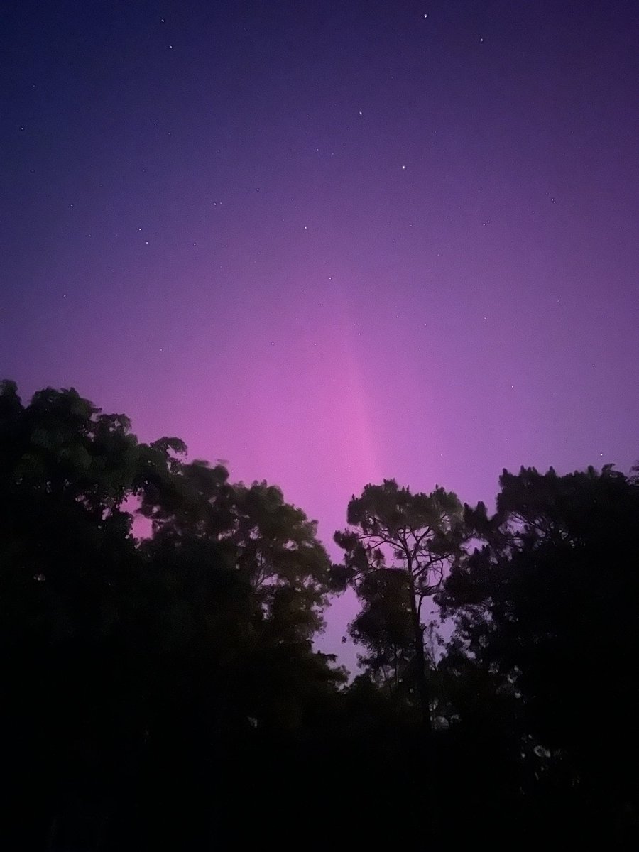 Just simply astonishing, even visible with the naked eye, dim but visible from the dark countryside of South Florida Loxahatchee #aurora #Florida @CycloforumsPR @TWAPuertoRico @adamonzon