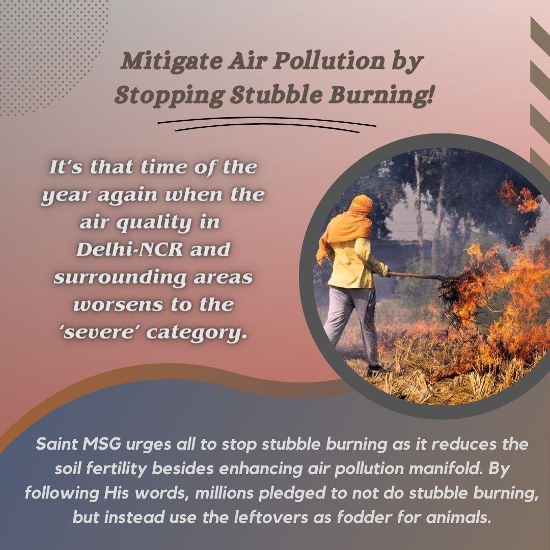 Protection Campaign:-Saint Ram Rahim Ji urged all to stop doing as it reduces the soil fertility & enhances air pollution manifold.
By following THEIR words,Dera Sacha Sauda volunteers do not do stubble burning,instead use the leftovers as fodder for animals.
#PollutionFreeNation