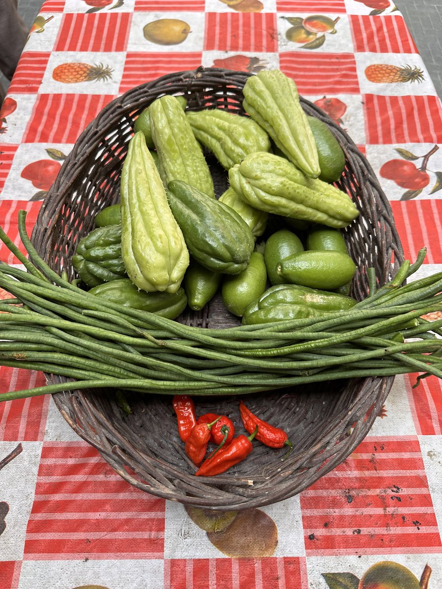 Morning Harvest….
#FarmFresh 
#vegetables 
#organic