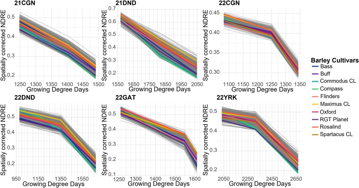 New @TheorApplGenet paper reveals positive genetic correlations between stay-green and barley yield across multiple environments; highlighting the potential as a future breeding target Huge thanks to our collaborators @InterGrain1 & congrats to @Stephanie_B37 on her first paper!