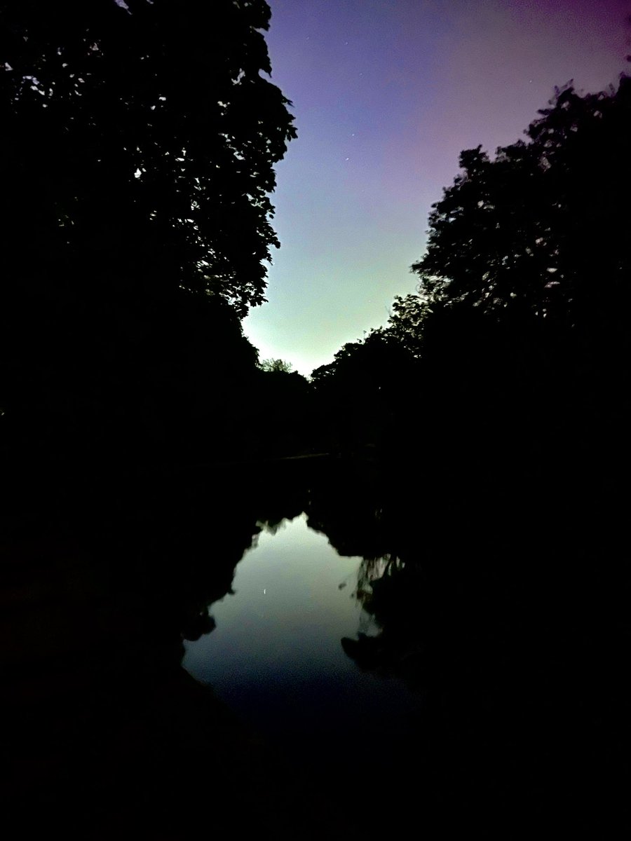 Lights fading, but colours still visible over the pond in #endcliffepark #sheffield #aurora #northenlights