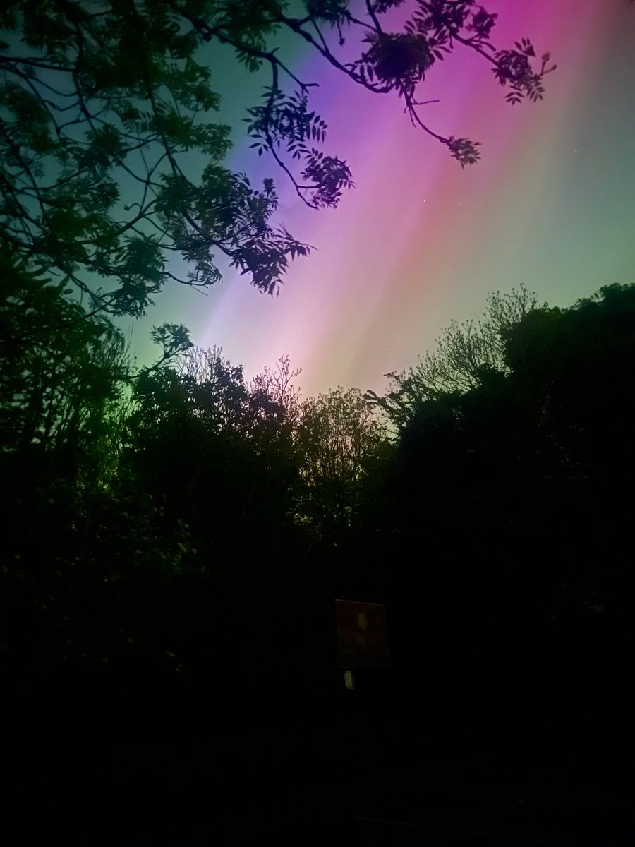VisitThePoint's tweet image. Aurora over Co. Down #Auroraborealis #warrenpoint #spelga #ireland