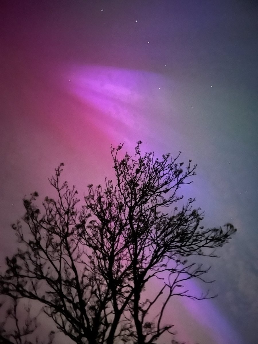 Beatriz Sánchez-Cano tweet media