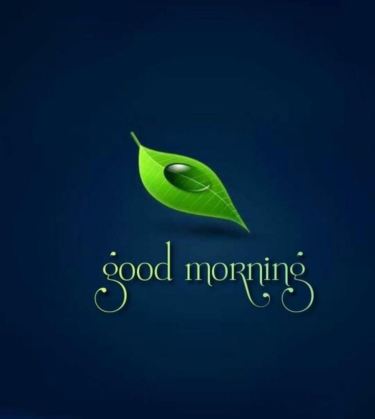 Shahid Zargar tweet media