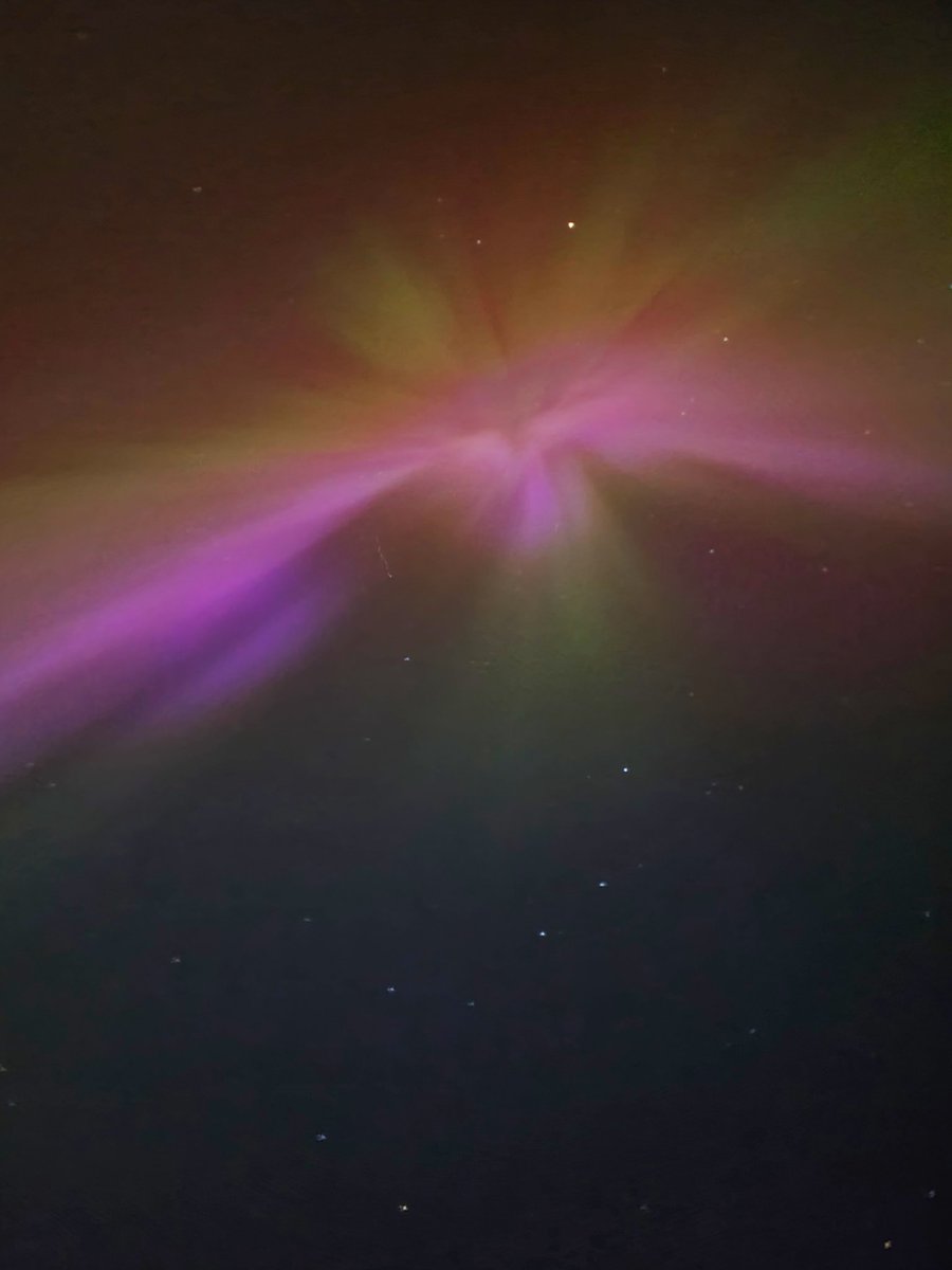 Ian Sheard tweet media