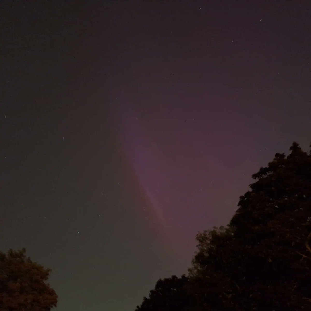 Yay! #NorthernLightsLondon 
#RegentsPark 
I got out a little too late, but I'm glad I didn't miss them.