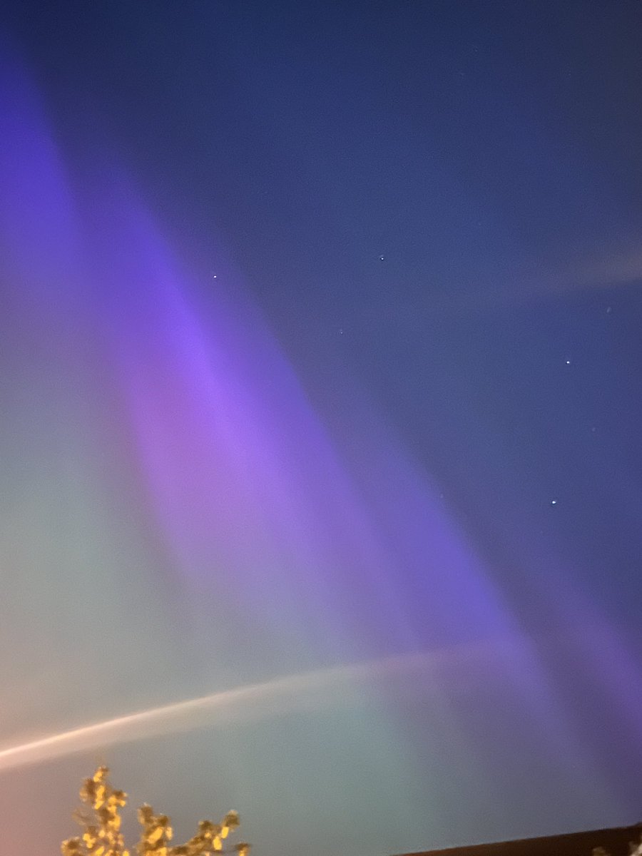 Sarah Burrows tweet media