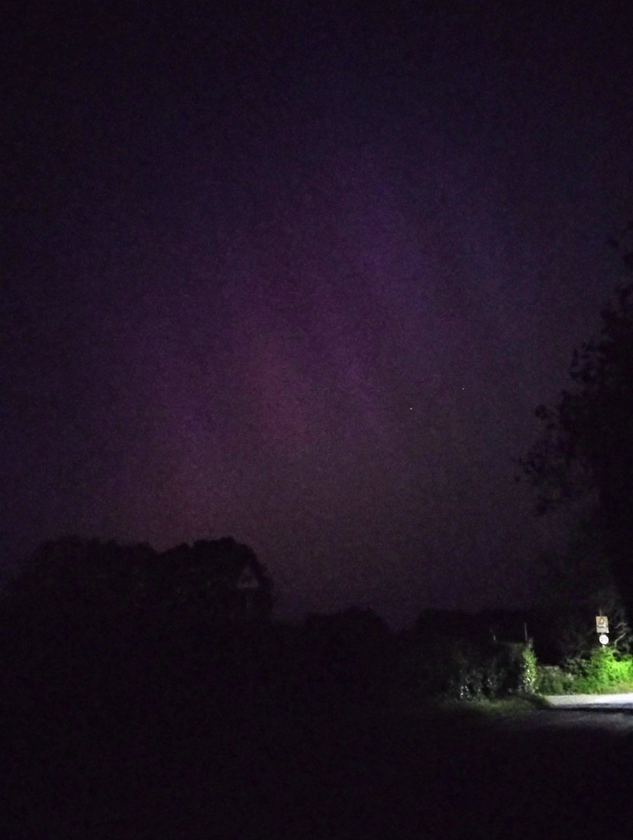 Heather Collin tweet media