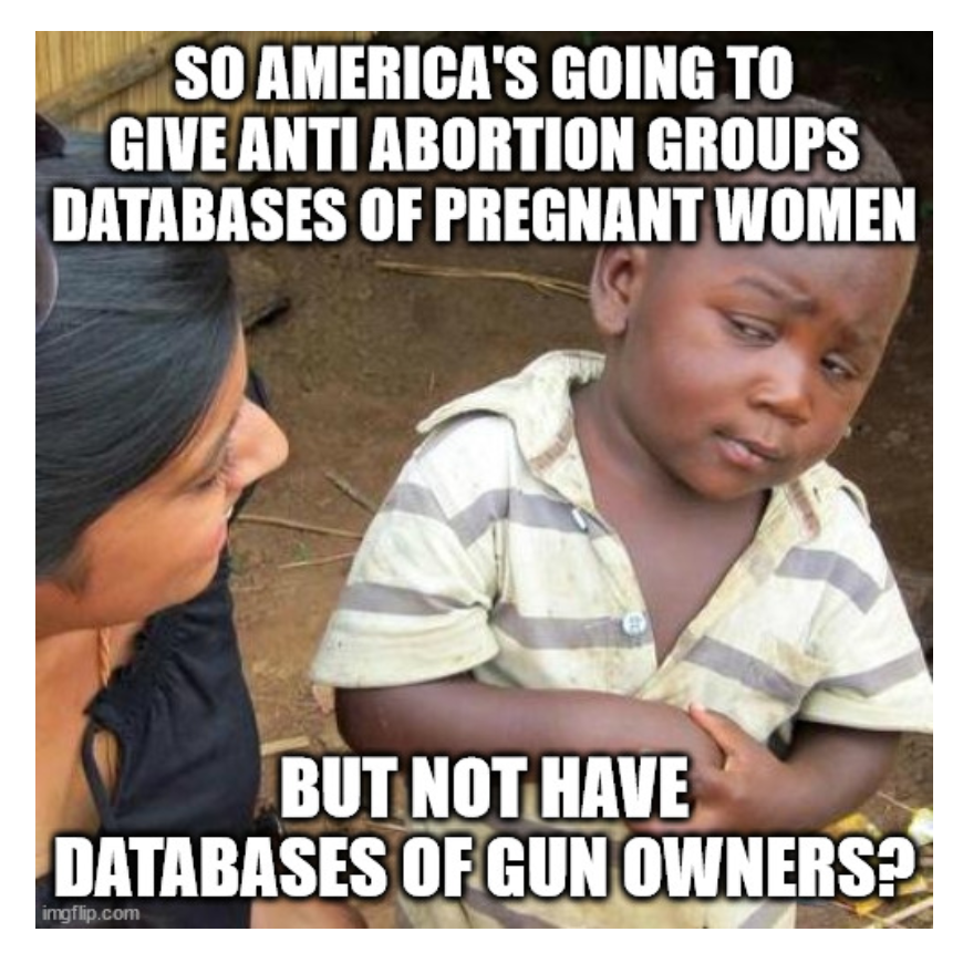 A republican just introduced a bill to create a database of pregnant women to give to anti-abortion groups, but the same republican opposes a database of gun owners despite guns being the leading cause of death of US kids.