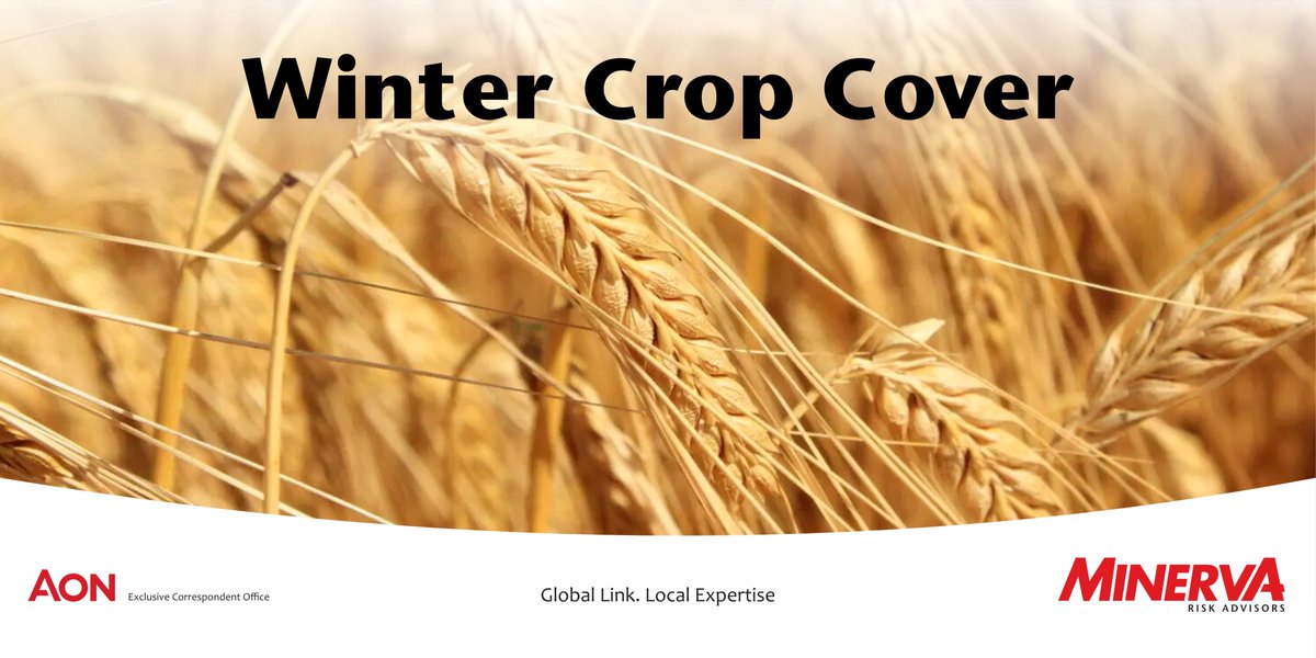 Frost is the biggest killer of a winter crop, accounting for almost 70% of insurance claims. Contact our agricultural division to discuss your crop insurance cover today. #agriinsurance #wintercrop