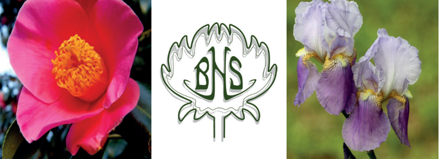 Today, Banstead Horticultural Society present their Open day and mini flower show. 2-5pm Banstead Community hall.