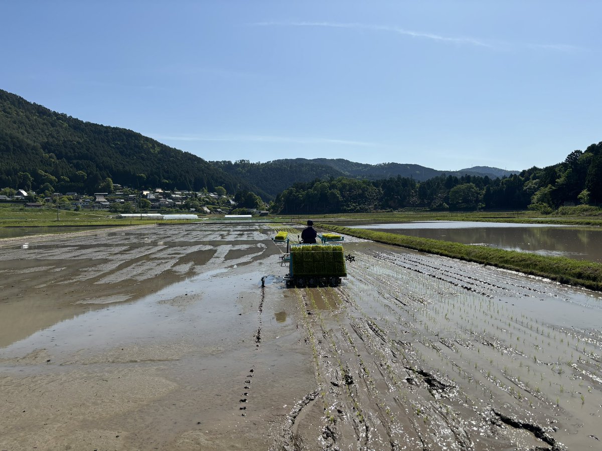 chikuchiku4237's tweet photo. 田植えなう
暑い🥵 https://t.co/4s6Y05hkdr